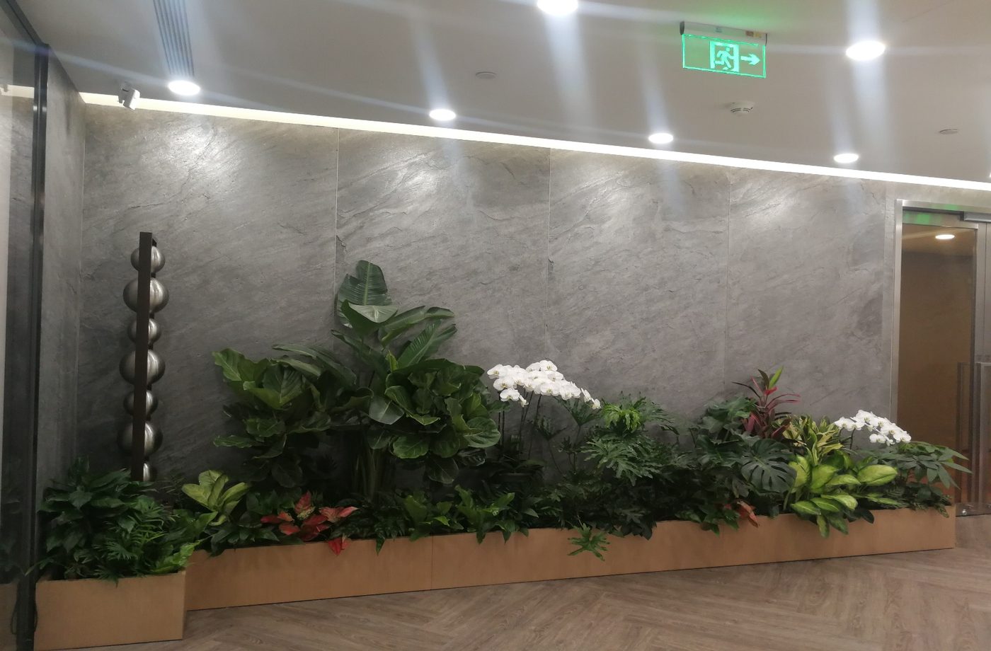 辦公接待植栽牆|Office reception planter wall