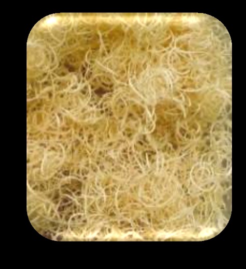 Wood Fiber Raw Material Preparation